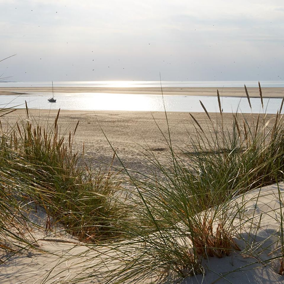 Ostfriesische Inseln: Spiekeroog: Die schönsten Ideen und Adressen