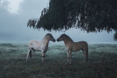 Landschafts-Fotografie: Diese fünf Instagrammer solltest du kennen
