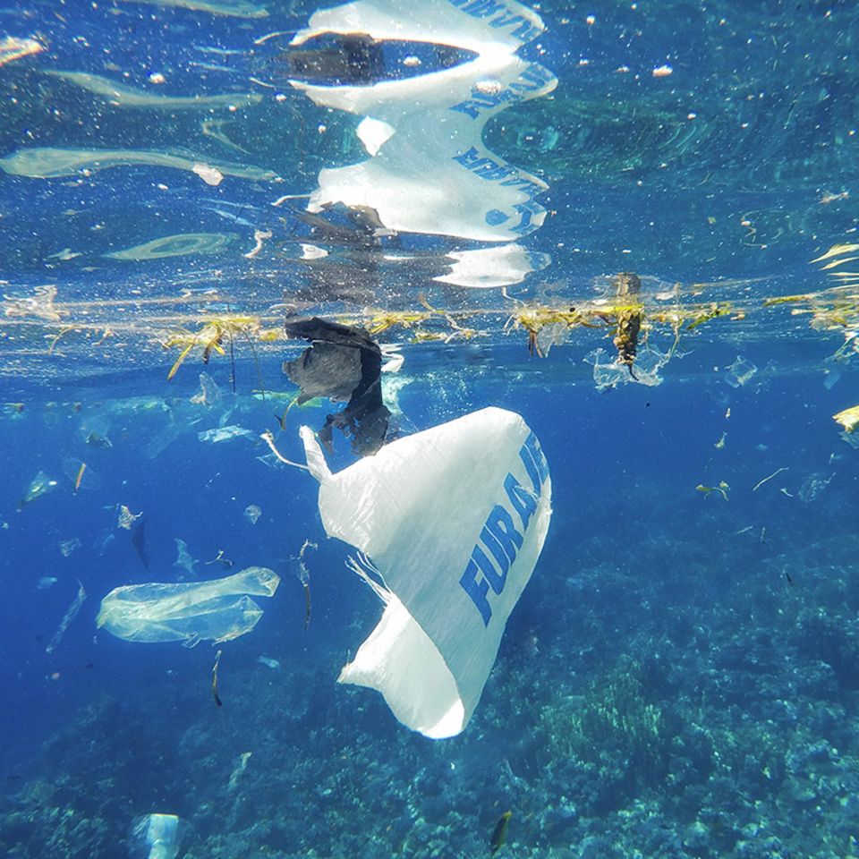 Internationaler Tag des Meeres: Mit Recycling-Schiffen gegen die Vermüllung der Ozeane