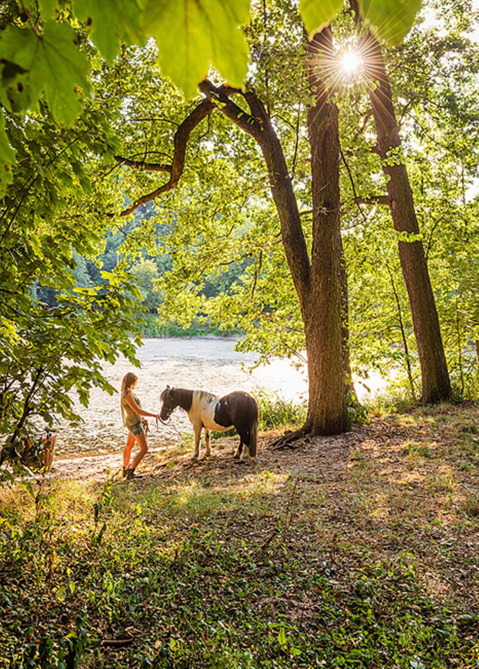 Reisetipps für Polen: Unter der Woche haben die Ponys in Barbarka ein wenig Freizeit. Der Wald gehört zum Naherholungsgebiet der Stadt Reisetipps für Polen: Unter der Woche haben die Ponys in Barbarka ein wenig Freizeit. Der Wald gehört zum Naherholungsgebiet der Stadt