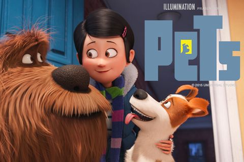 Filmtipp: PETS: Bilder und Infos zum Film