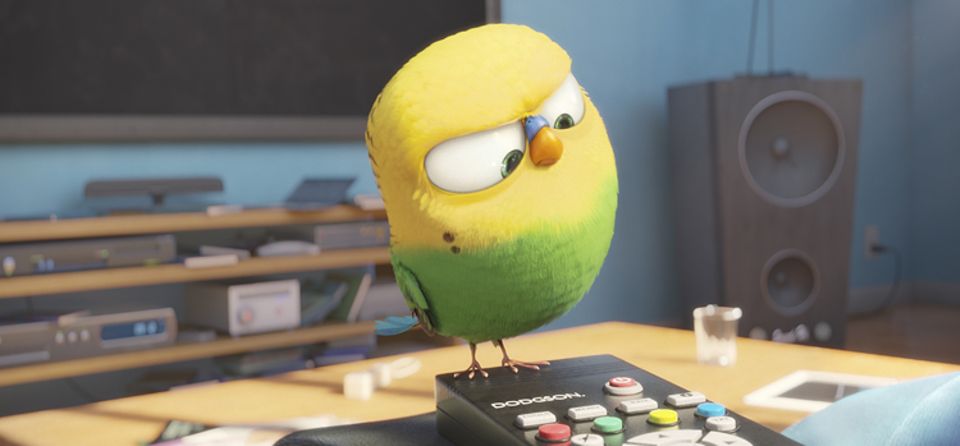 Filmtipp: PETS: Fernsehen kann auch eine gute Ablenkung sein, während man als Haustier auf seinen Besitzer wartet.. Wellensittich Sweetpea ist jedenfalls schon Fernseh-Fan! Filmtipp: PETS: Fernsehen kann auch eine gute Ablenkung sein, während man als Haustier auf seinen Besitzer wartet.. Wellensittich Sweetpea ist jedenfalls schon Fernseh-Fan!