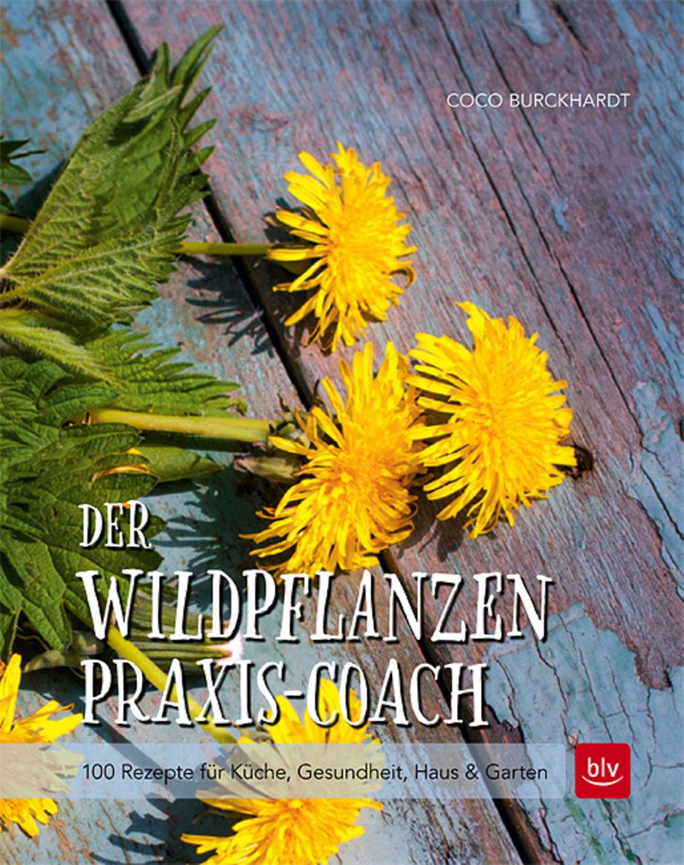 Rezept: Cover
