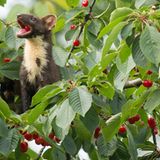 GEO Leserfoto: Die besten Leserfotos: Mai 2016 - Bild 3