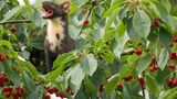 GEO Leserfoto: Die besten Leserfotos: Mai 2016 - Bild 3