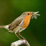 GEO Leserfoto: Die besten Leserfotos: Mai 2016 - Bild 6