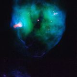 Sterben in Schönheit