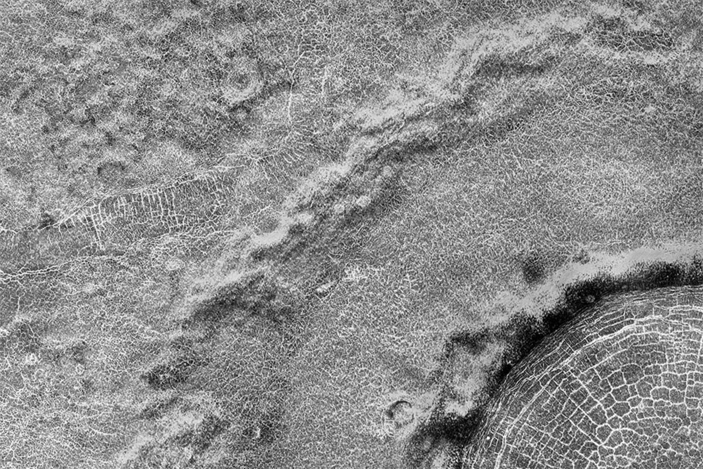 Frostiges Netz Frostiges Netz