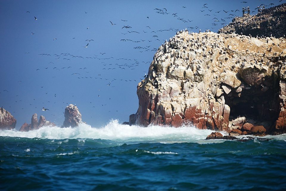 Islas Ballestas