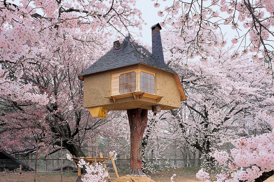 Bildband "Tree houses": Eine Reise zu den Baumhäusern dieser Welt