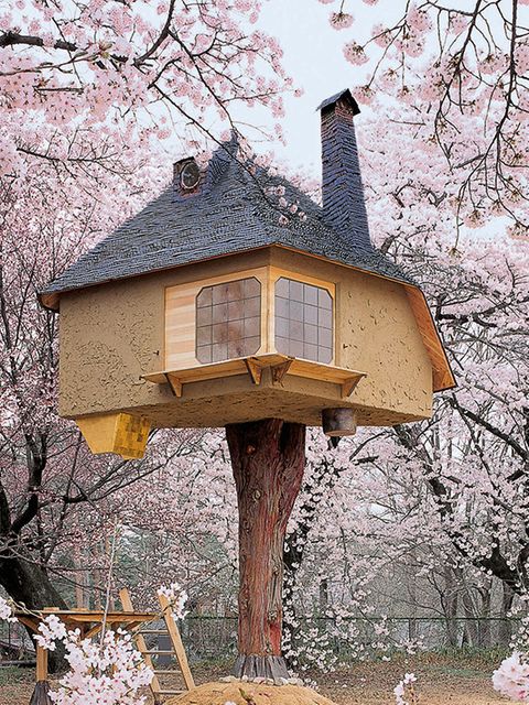 Bildband "Tree houses": Eine Reise zu den visionärsten und verrück­testen Baumhäusern dieser Welt