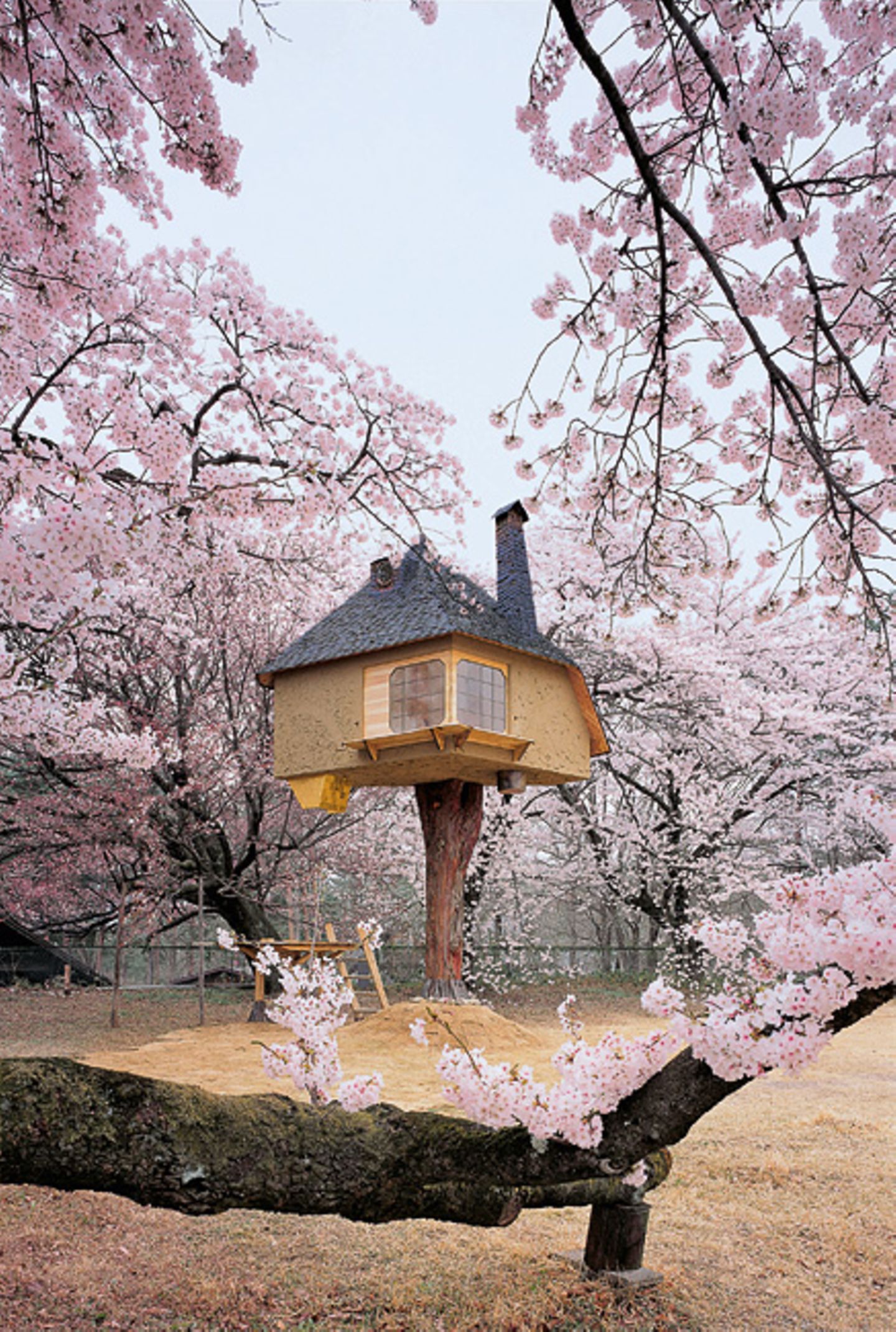 Teehaus, Japan