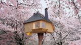 Teehaus, Japan