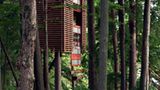 4tree house, Kanada