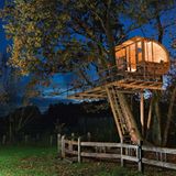 Zwischen Erle und Eiche, Deutschland