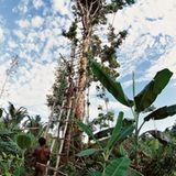 Wohnhaus, Indonesien