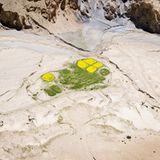 Immer öfter bleibt die Ernte aus