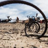 Müll als Gefahr für die Rentiere