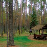 Campingareal Kauksi Telkimisala am Peipussee, Estland