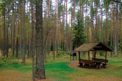 Campingareal Kauksi Telkimisala am Peipussee, Estland