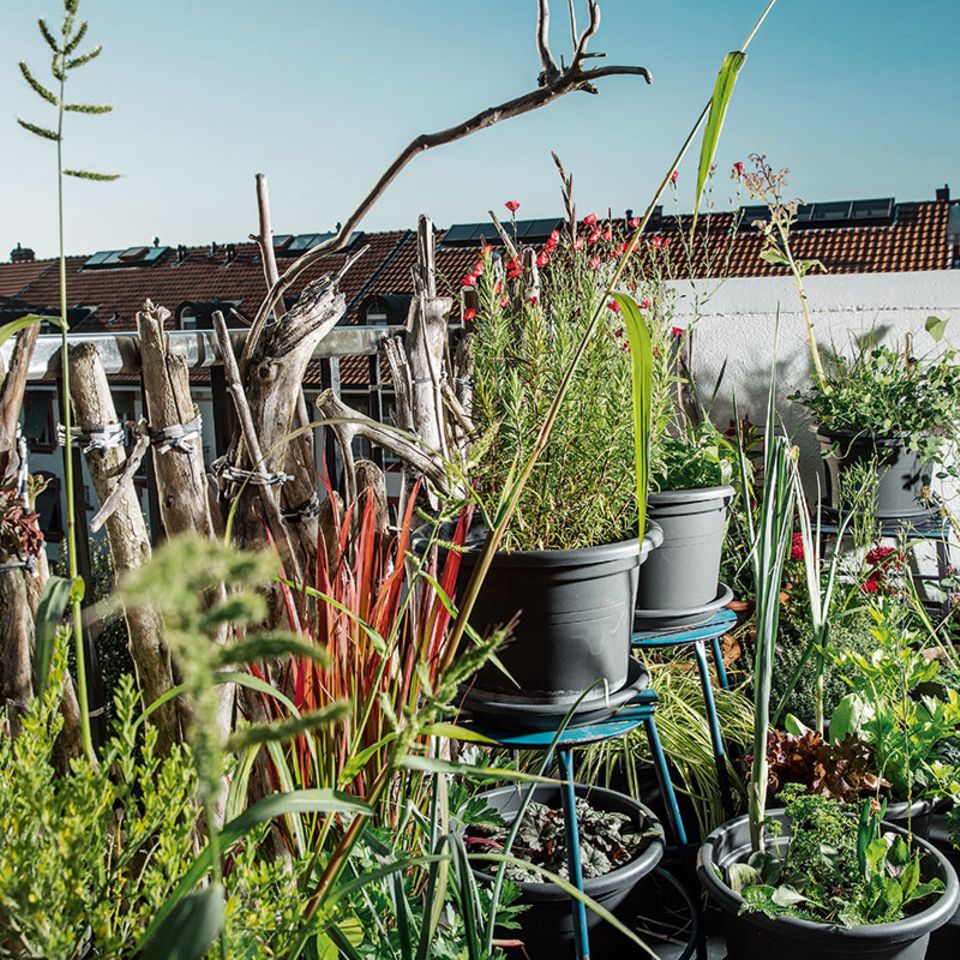 Urban Gardening: Neun Tipps, die Sie zum Balkon-Gärtner machen