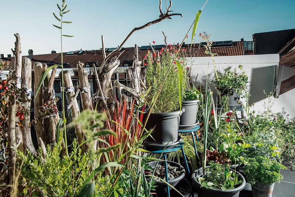 Urban Gardening: Neun Tipps, die Sie zum Balkon-Gärtner machen