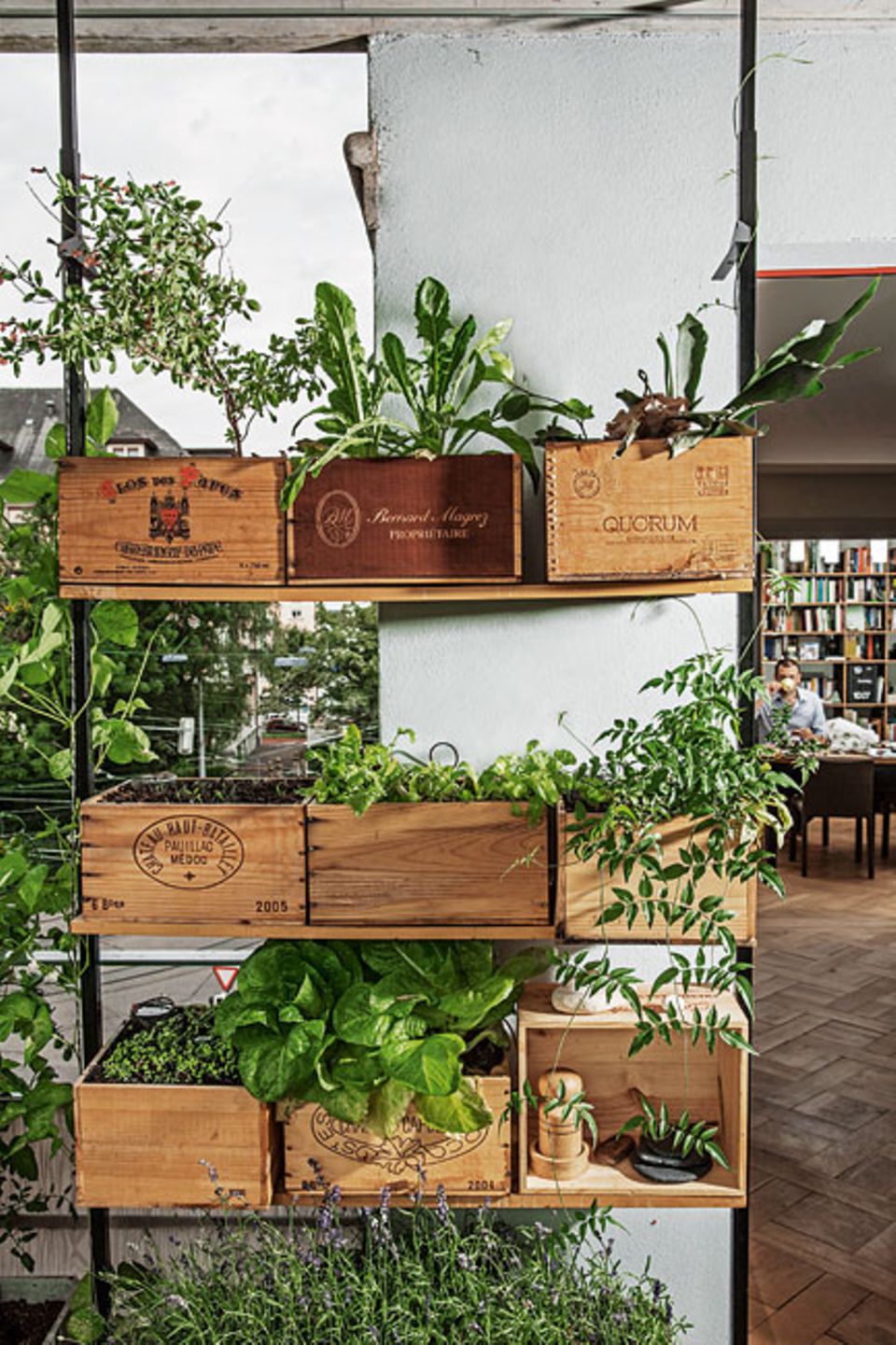 Urban Gardening Neun Tipps, die Sie zum BalkonGärtner machen [GEO]