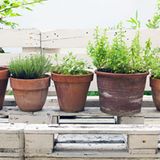 2) Nicht zu viel vornehmen