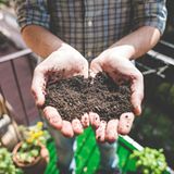 3) Es geht auch ohne Torf