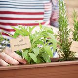 4) Auf gute Nachbarschaft