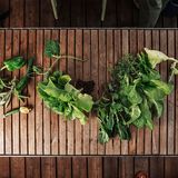 8) Einmachen nicht vergessen