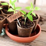 9) Und das Wichtigste zum Schluss: Einfach loslegen!