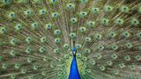 GEO Leserfoto: Die besten Leserfotos: Juni 2016