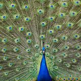 GEO Leserfoto: Die besten Leserfotos: Juni 2016