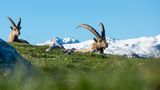 GEO Leserfoto: Die besten Leserfotos: Juni 2016 - Bild 3