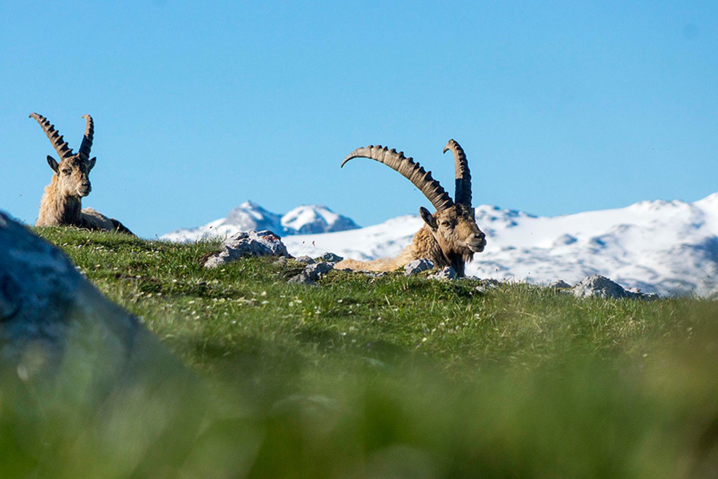 GEO Leserfoto: Die besten Leserfotos: Juni 2016 - Bild 3
