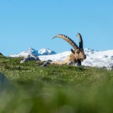 GEO Leserfoto: Die besten Leserfotos: Juni 2016 - Bild 3