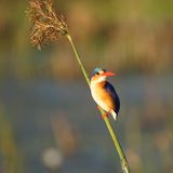 GEO Leserfoto: Die besten Leserfotos: Juni 2016 - Bild 13