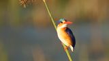 GEO Leserfoto: Die besten Leserfotos: Juni 2016 - Bild 13