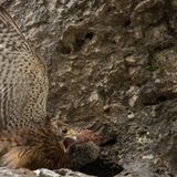 GEO Leserfoto: Die besten Leserfotos: Juni 2016 - Bild 16