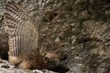GEO Leserfoto: Die besten Leserfotos: Juni 2016 - Bild 16