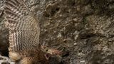 GEO Leserfoto: Die besten Leserfotos: Juni 2016 - Bild 16