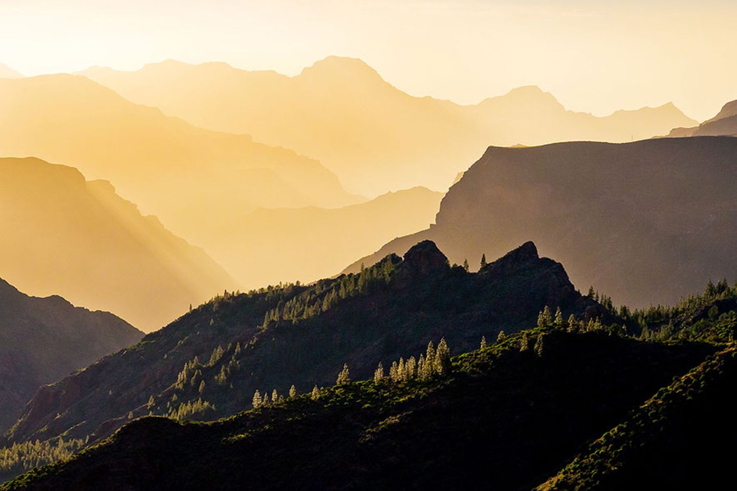 GEO Leserfoto: Die besten Leserfotos: Juni 2016 - Bild 18