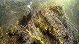 GEO Leserfoto: Die besten Leserfotos: Juni 2016 - Bild 20