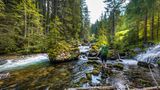 Einem Bach oder Fluss bis zur Quelle folgen