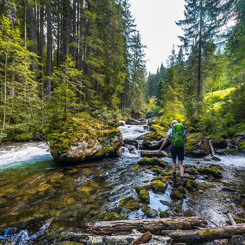 Einem Bach oder Fluss bis zur Quelle folgen