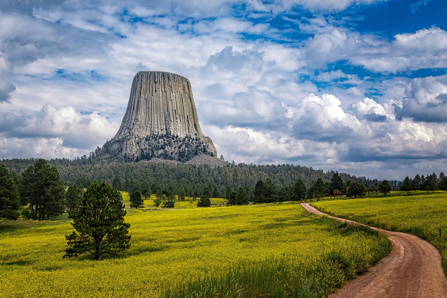 Vevils Tower USA