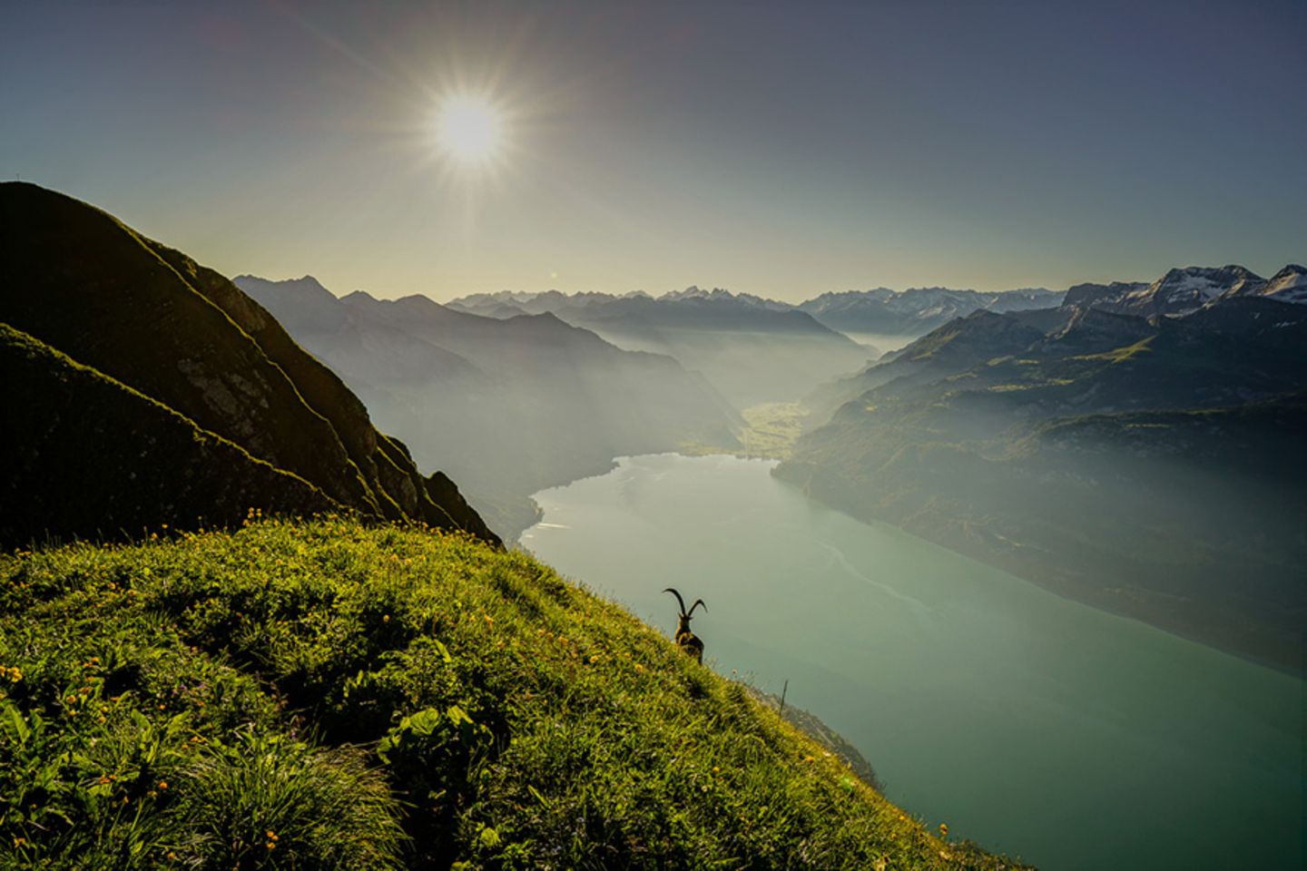 GEO Leserfoto: Die besten Leserfotos: Juli 2016 - Bild 2