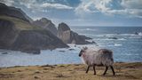 GEO Leserfoto: Die besten Leserfotos: Juli 2016 - Bild 4