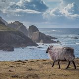 GEO Leserfoto: Die besten Leserfotos: Juli 2016 - Bild 4